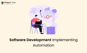 software development